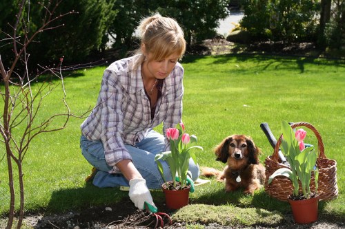 Sustainable gardening practices in Edmonton